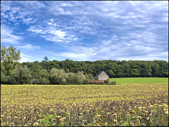 Ferme isolée