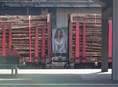 Holz vor der Hütte