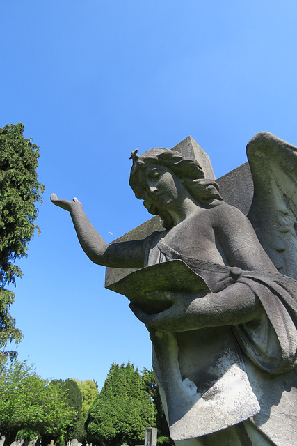 teddington cemetery, london