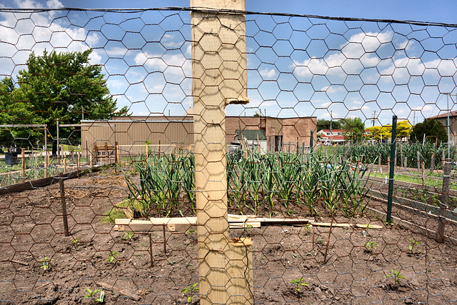 Happy Fence Friday