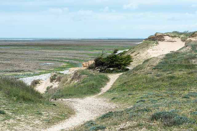 Côte Sauvage bei Ebbe - 2016-04-26_D4_DSC6715