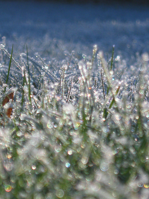 Väterchen Frost war hier