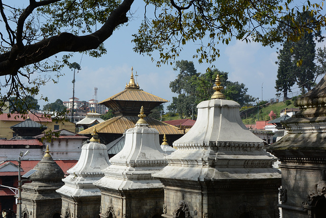 Kathmandu, Shree Pashupatinath and Athara Shivalaya