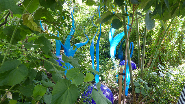 Dale Chihuly Retrospective at Kew Gardens