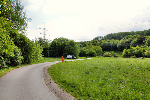 Auf der Kämpe (Gelsenkirchen-Scholven) / 5.05.2019