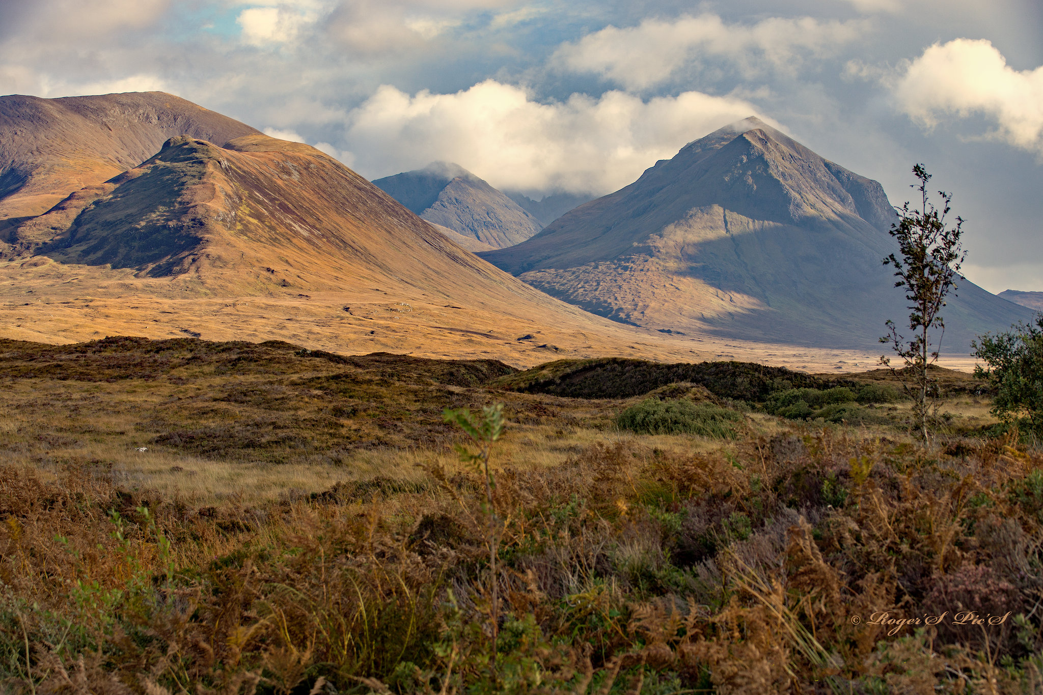 Sunny Skye