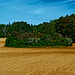 20250514_Blankenburg