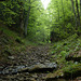 20150523 -25 Rando VTT La chapelle en Vercors (286) al