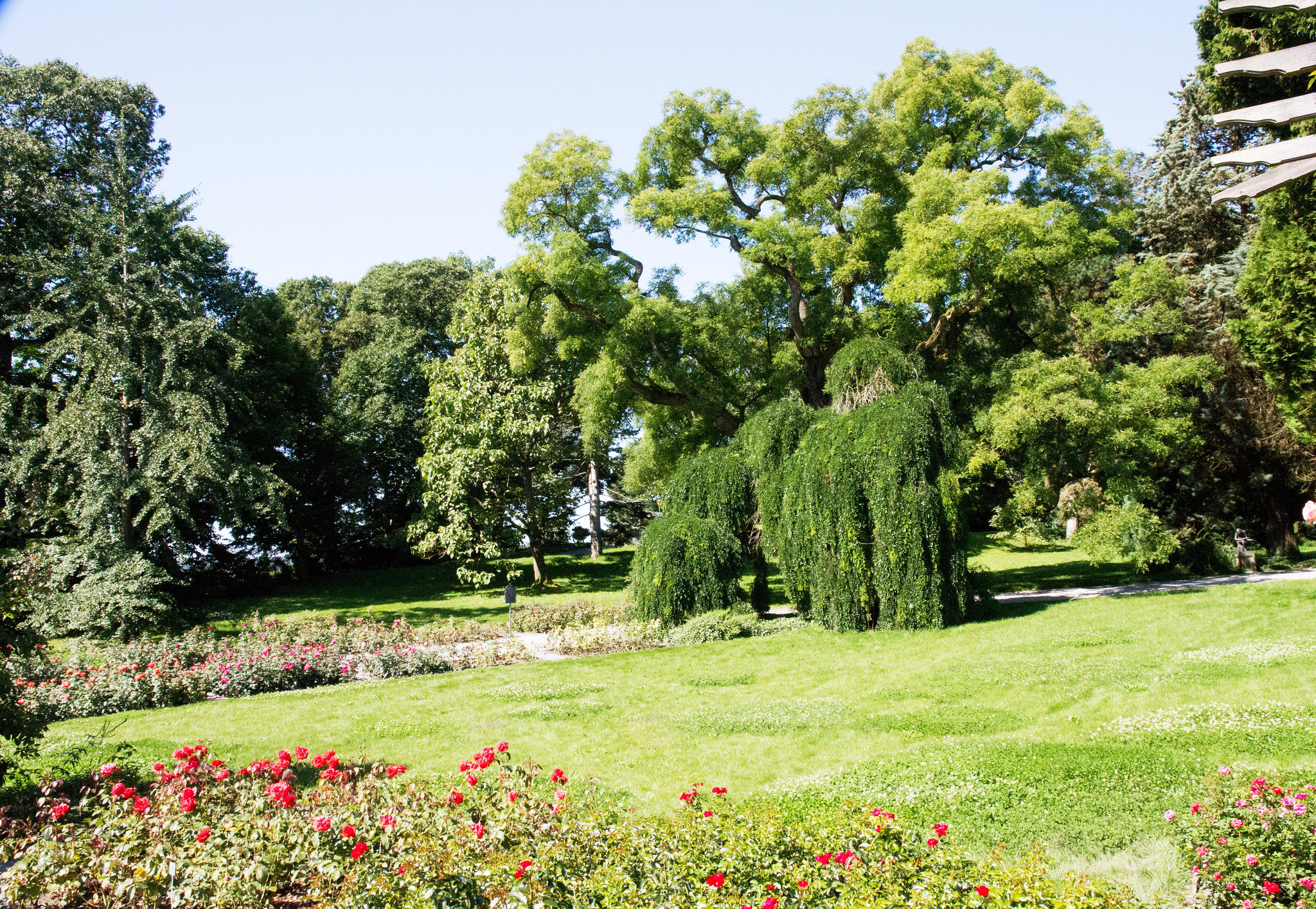 Insel Mainau