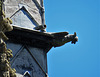 ely cathedral