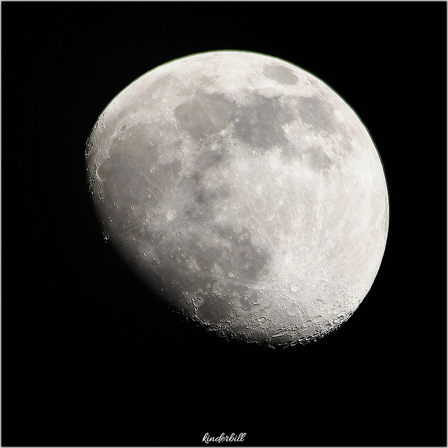 Rising Moon   /   April 2020