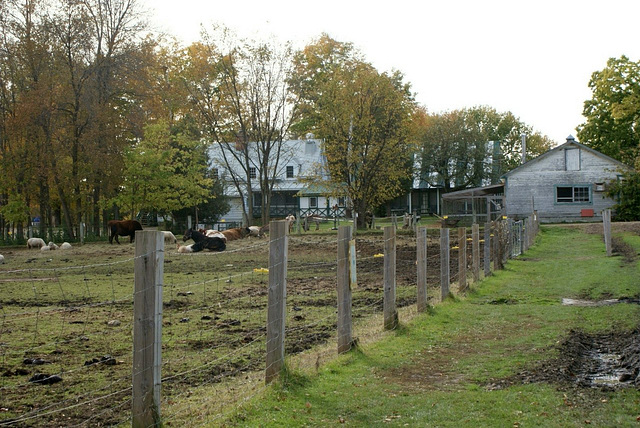 HFF à la ferme