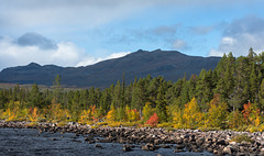 Herbst in Laponia (© Buelipix)