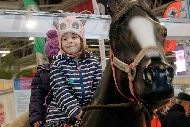 Zèbre à tête rose sur cheval plastifié