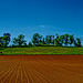 20250514_Blankenburg