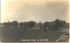 MN1132 PLOUGHING SCENE IN MANITOBA