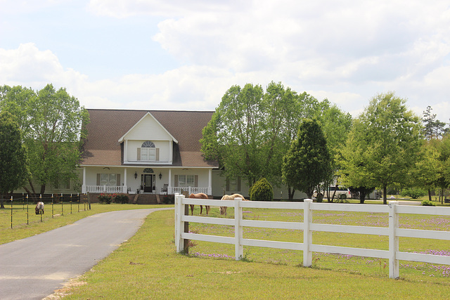 Photo # 2 (after the one over) another shot of this property with "different" mowers on this side of that fence:))