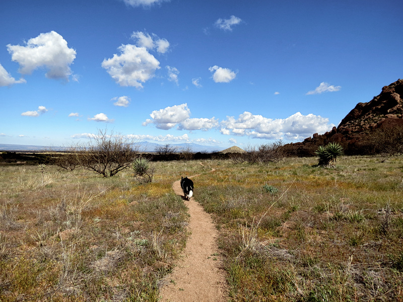 Pony Trail