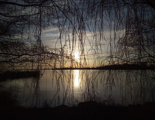 Embranchement au couchant / Snoring branches