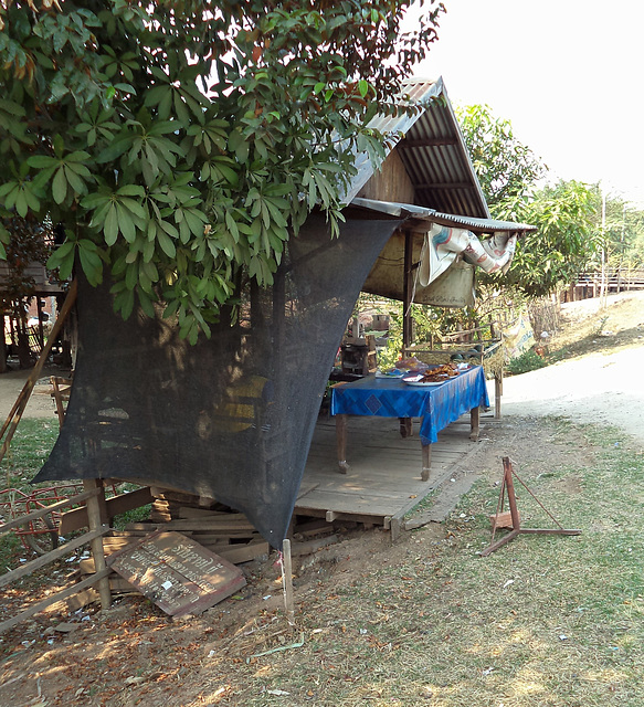 Bouffe de rue / Street food  (Laos)