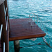Straight into the water