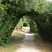 Sentier des Douaniers, der Zöllnerpfad