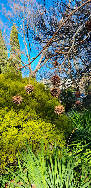 Winter morning South Australia