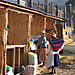 HWW Straw mats make cheap and usefull walls.