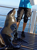 a delicious lunch (catamaran tour in Walvys Bay /Namibia)