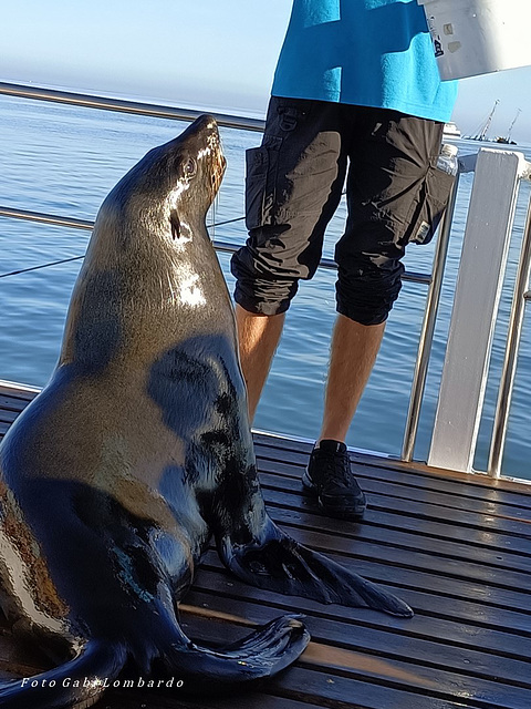 a delicious lunch (catamaran tour in Walvys Bay /Namibia)