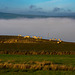 Sheep above the clouds