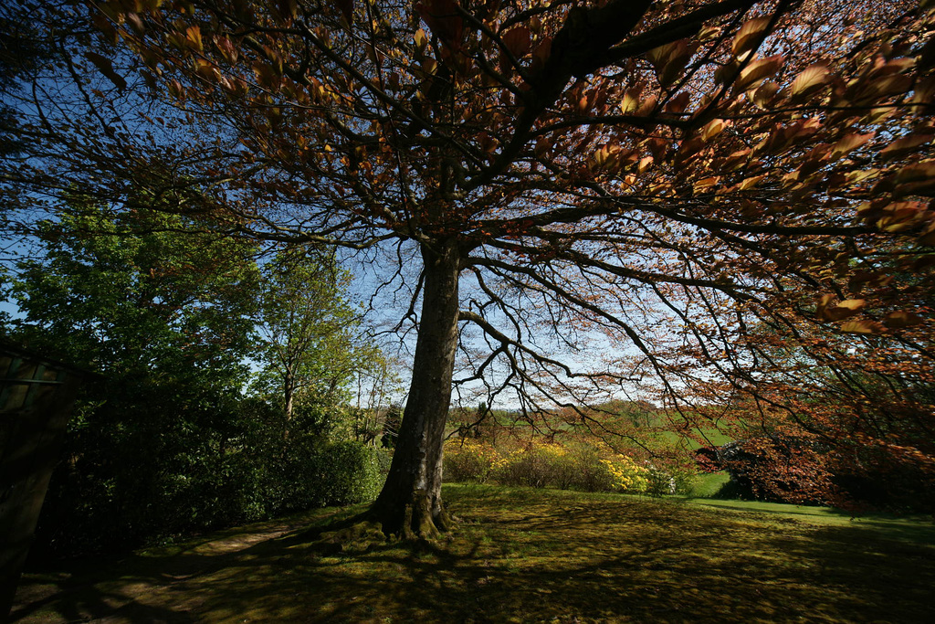 Springtime At The Garden Of Cosmic Speculation