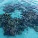 Coral formation as seen from the deck