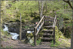 HFF~ A Footbridge at Balquhidder