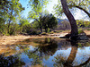 Slavin Gulch Creek