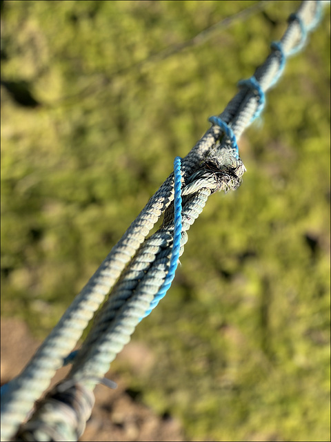 Luz de Tavira, Entangled ropes