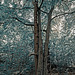 20250514_Blankenburg