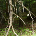 20150523 -25 Rando VTT La chapelle en Vercors (290) al