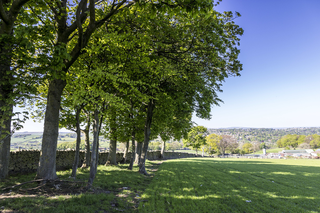 Footpath to Firs Farm