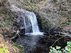 The Altyre Burn waterfall at Squirrel Wood