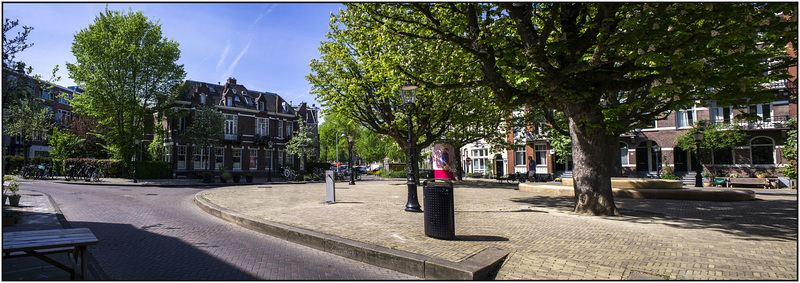 Linnaeusparkweg/Hogeweg