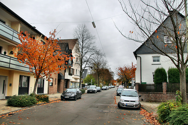 Meesmannstraße (Witten-Herbede) / 6.11.2021