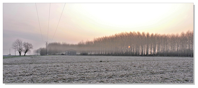 81 Fraîcheur matinale...