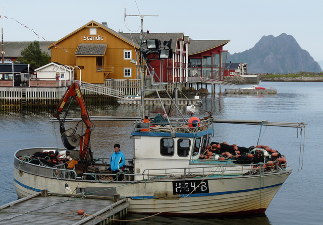 Peaceful Harbour Scene