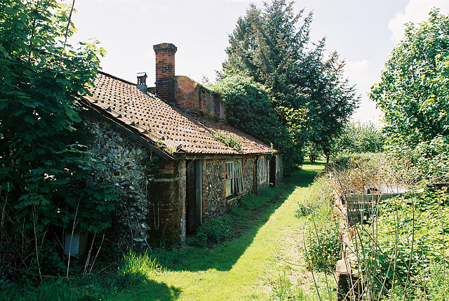 Gardens of Coney Weston Hall, Suffolk