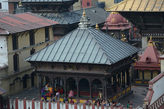 Kathmandu, Pagoda of Shree Pashupatinath Temple