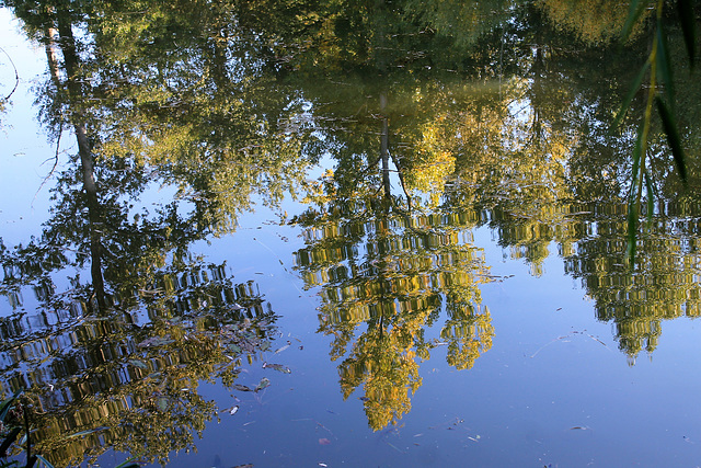 reflets sur l'eau, teintes d'automne