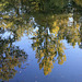 reflets sur l'eau, teintes d'automne