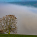 A Cloud Filled Valley