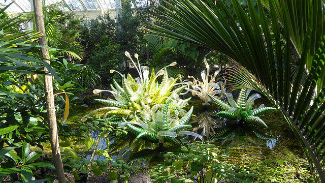 Dale Chihuly Retrospective at Kew Gardens